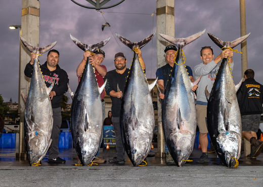 Top 5 Mistakes You Make When Night Jig Fishing for Bluefin Tuna